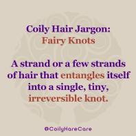 fairy-knots-definition